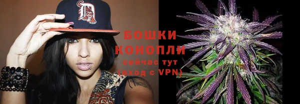 дурь Горно-Алтайск
