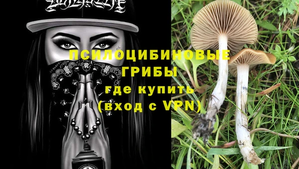 дурь Горно-Алтайск