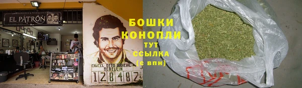 дурь Горно-Алтайск