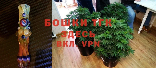 не бодяженный Горнозаводск