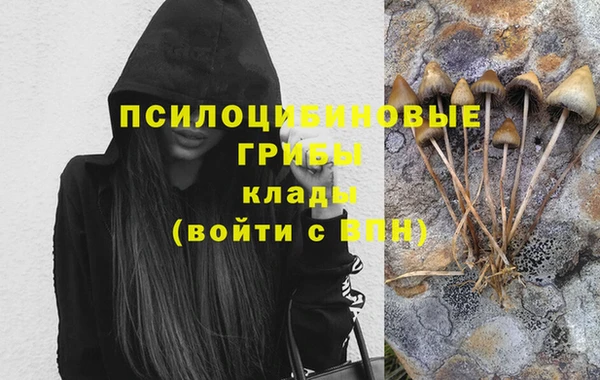 дурь Горно-Алтайск