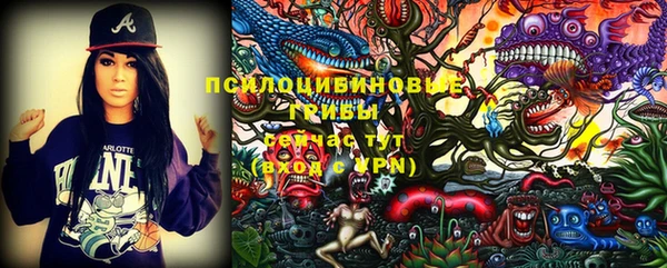 не бодяженный Горнозаводск