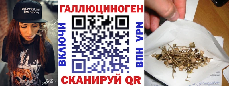 Псилоцибиновые грибы Psilocybe  Звенигово 