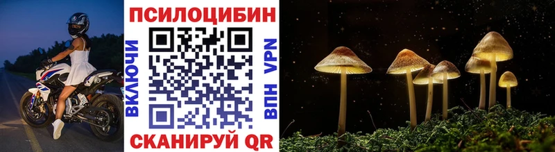 Псилоцибиновые грибы прущие грибы Звенигово